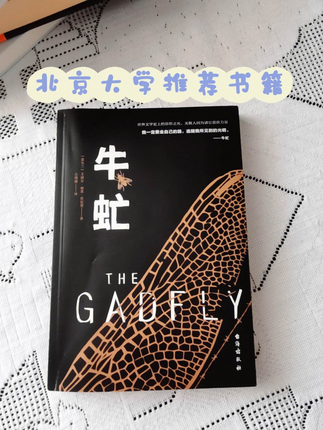 有声小说牛虻手机版下载牛虻世界名著在线阅读