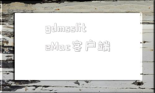 关于gdmssliteMac客户端的信息