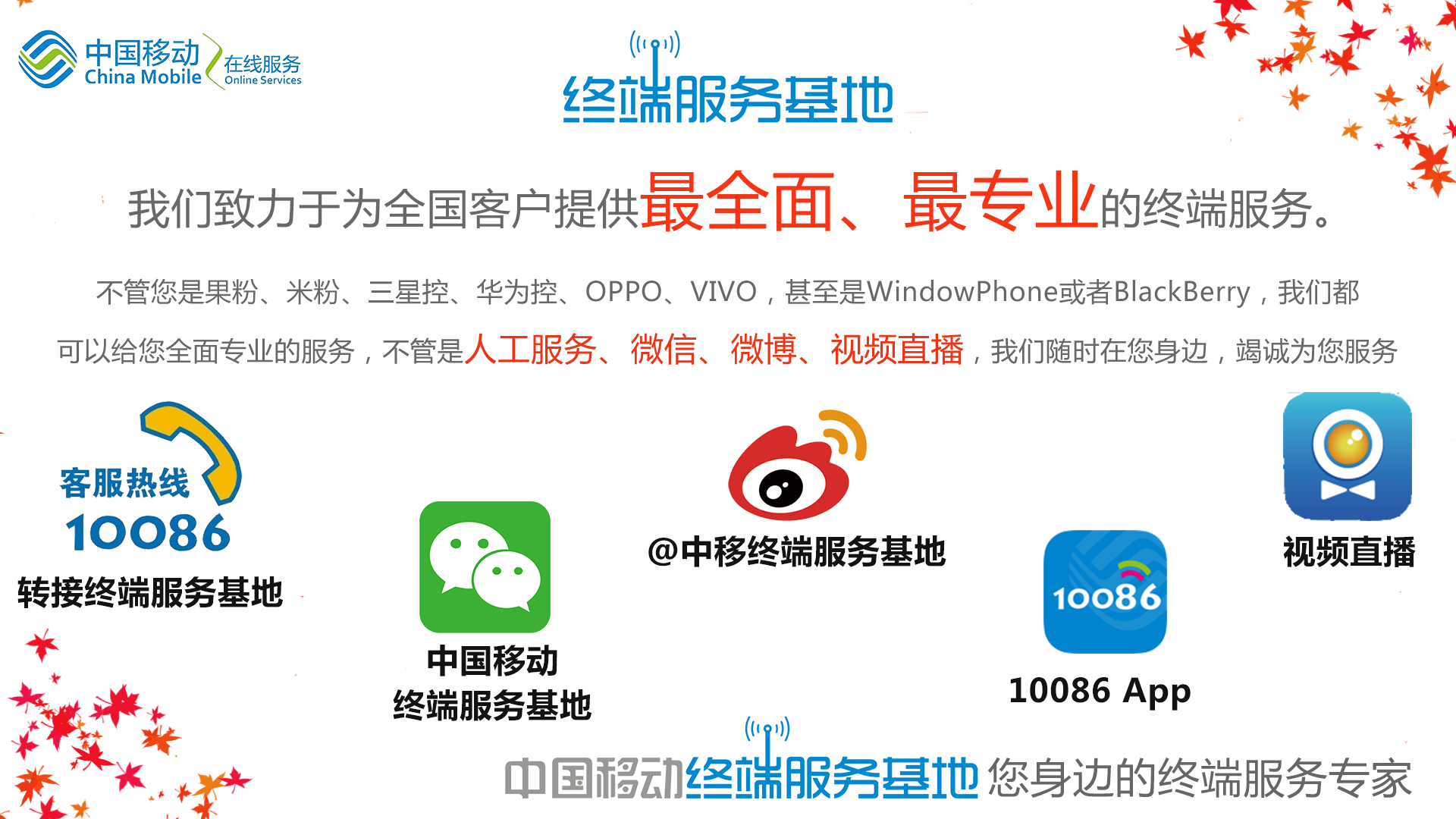 苹果版移动在线什么是苹果公开版