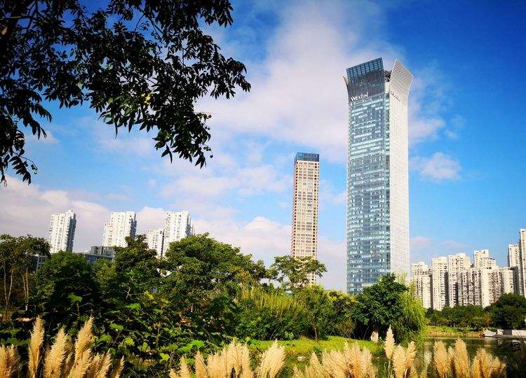 印象温州安卓版印象52度价格表