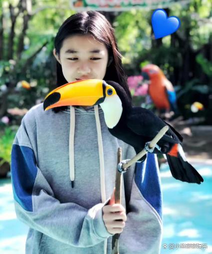 小苹果视频人妖版trans500人妖
