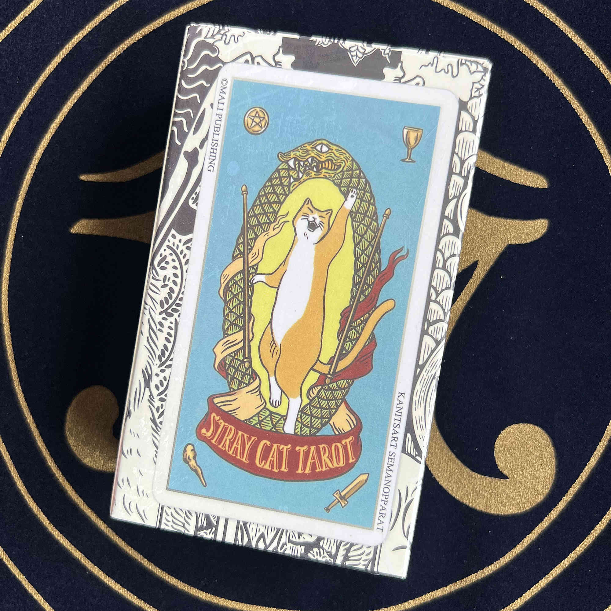 tarotcat安卓版potatochat安卓版下载-第2张图片-太平洋在线下载