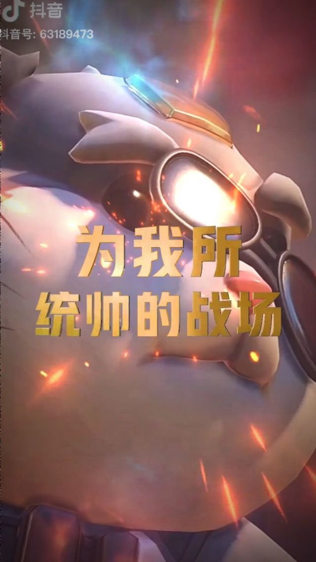 仓鼠球黄金版手机版仓鼠球电脑游戏哪里可以玩-第2张图片-太平洋在线下载
