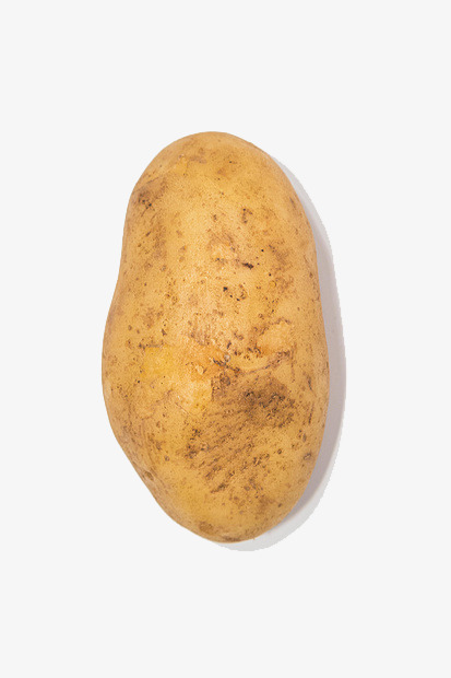土豆网手机版下载土豆下载potato官网