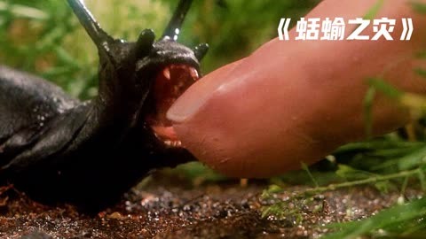 蛞蝓之灾安卓版蛞蝓之灾1国语免费完整版-第1张图片-太平洋在线下载
