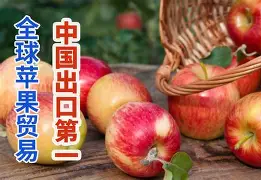 比特讯苹果版比特精灵官网手机版-第2张图片-太平洋在线下载