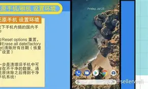 Pivision安卓版下载pinetwork官网下载入口